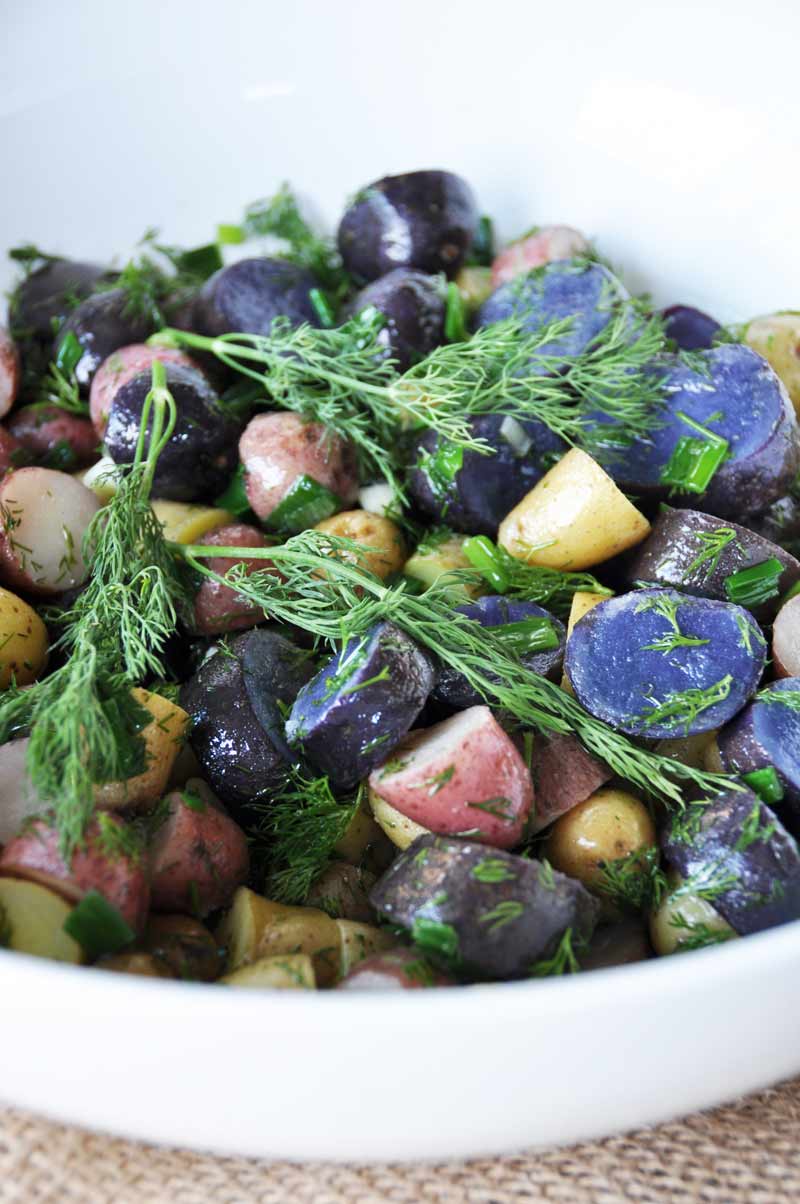 A c;lose up shot of tri-colored potato salad with sprigs of dill in a white bowl.