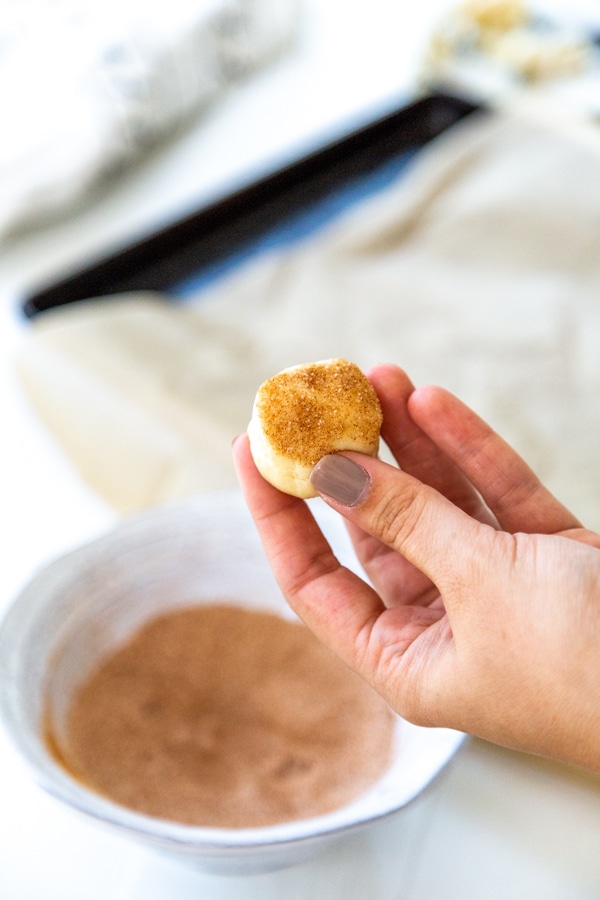 A hand holding a ball of cookie dough with the top dipped in cinnamon sugar.